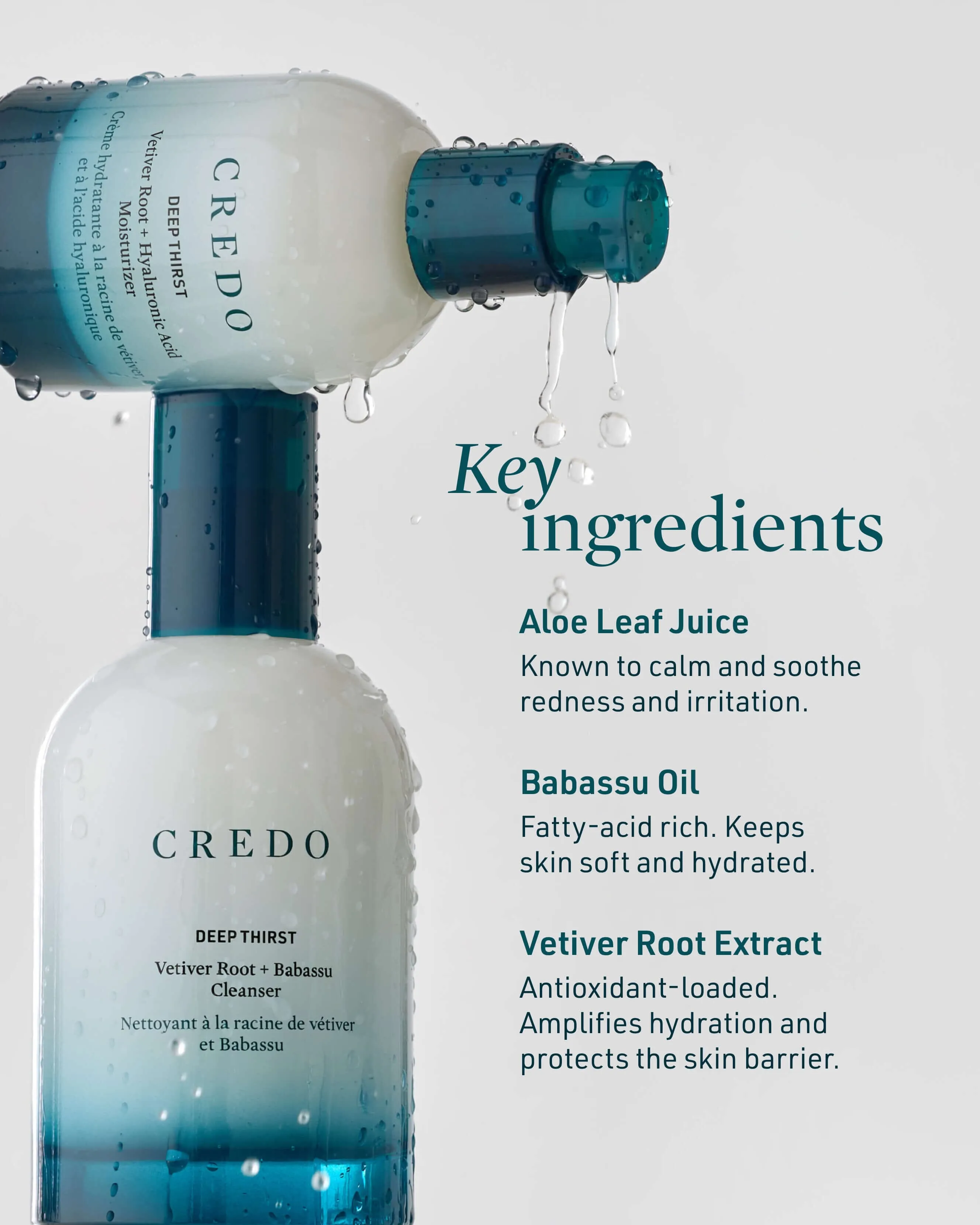 Deep Thirst Vetiver Root   Babassu Cleanser for Dry Skin