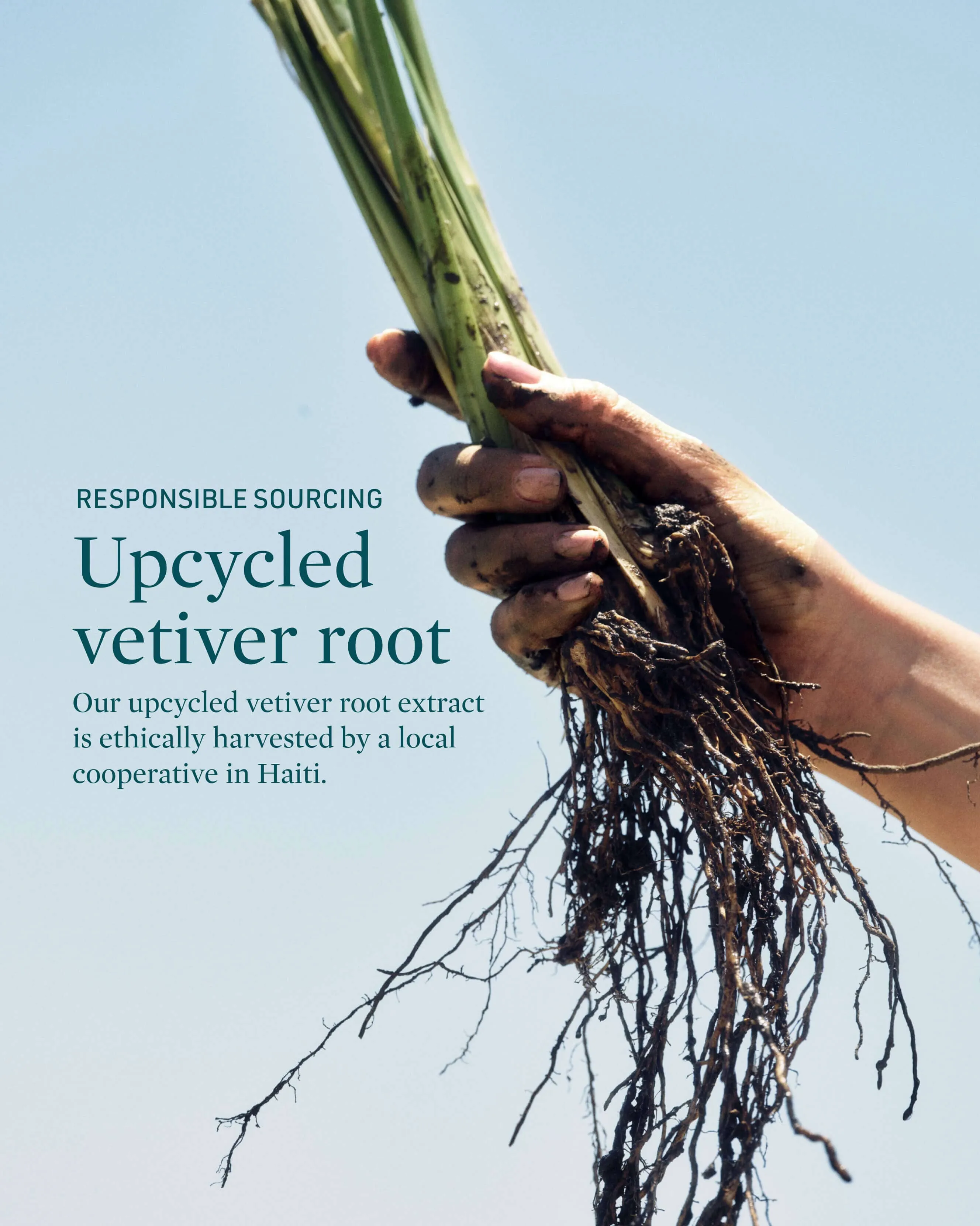 Deep Thirst Vetiver Root   Babassu Cleanser for Dry Skin