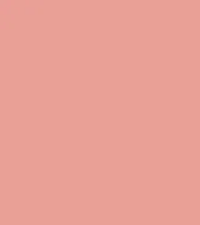 F21 - PINKFLASH Duo Makeup Stick (4g)