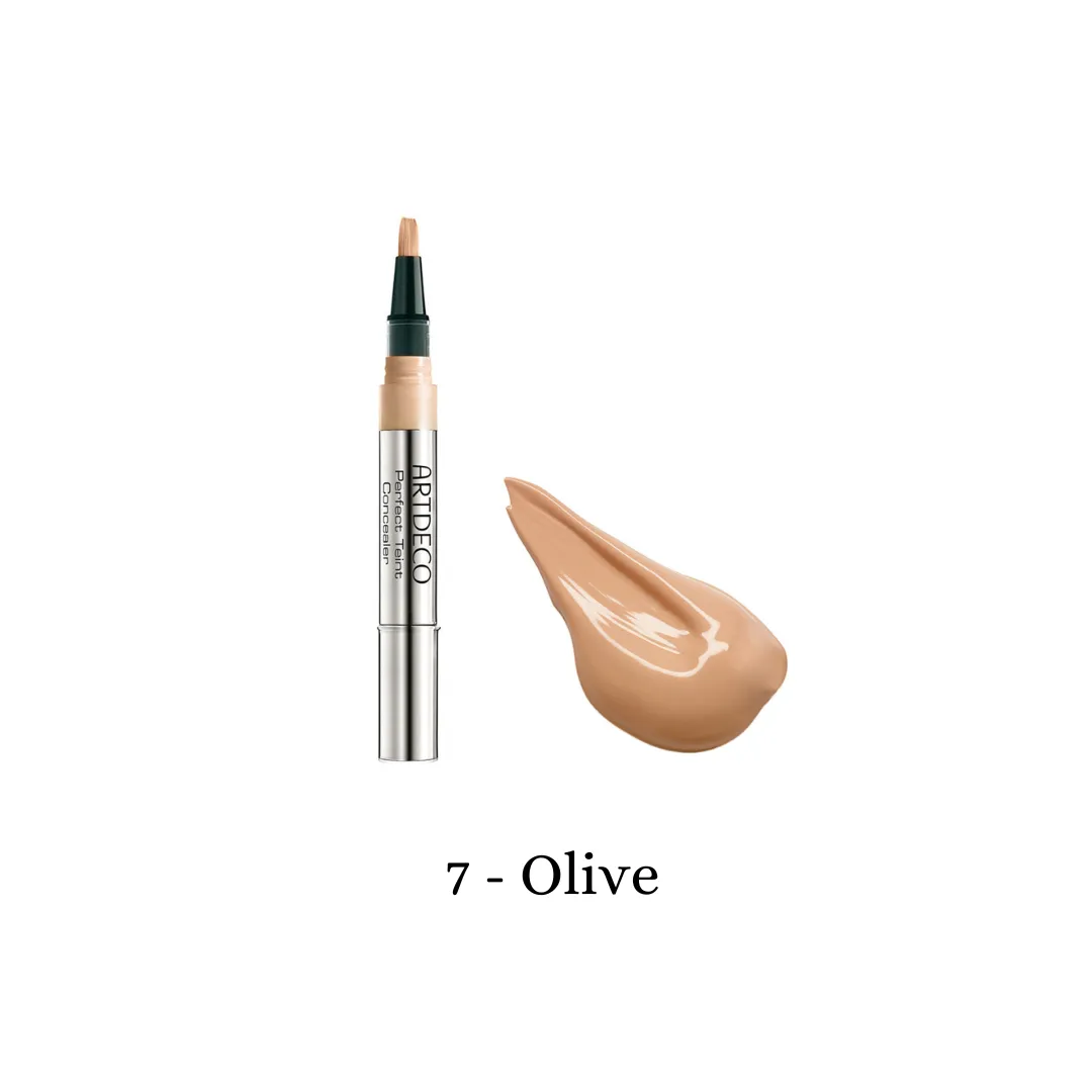 Perfect Teint Concealer (4 Colours)